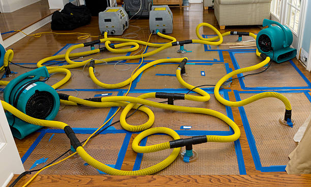 Professional Basement Flood Cleanup technician working in Northwood, NH